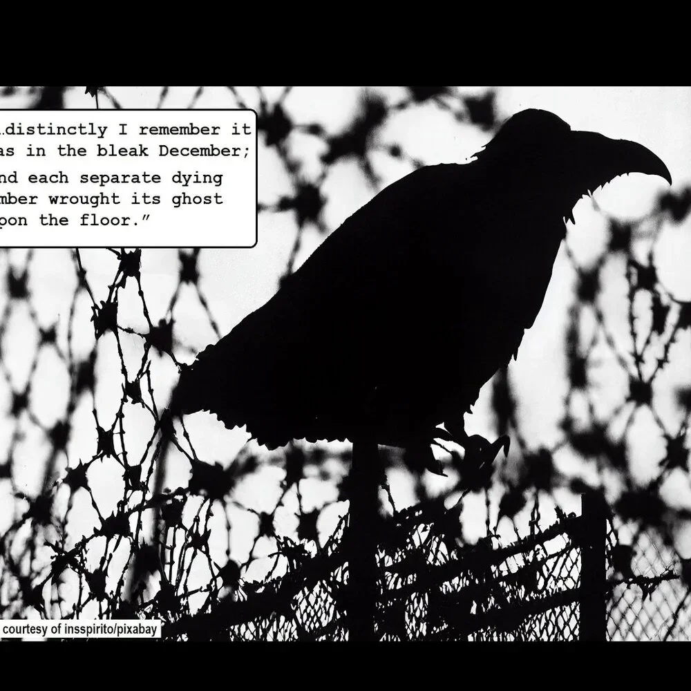 Raven Calendar 2027 Ravens Planner with The Raven by Edgar Allan Poe Poetry